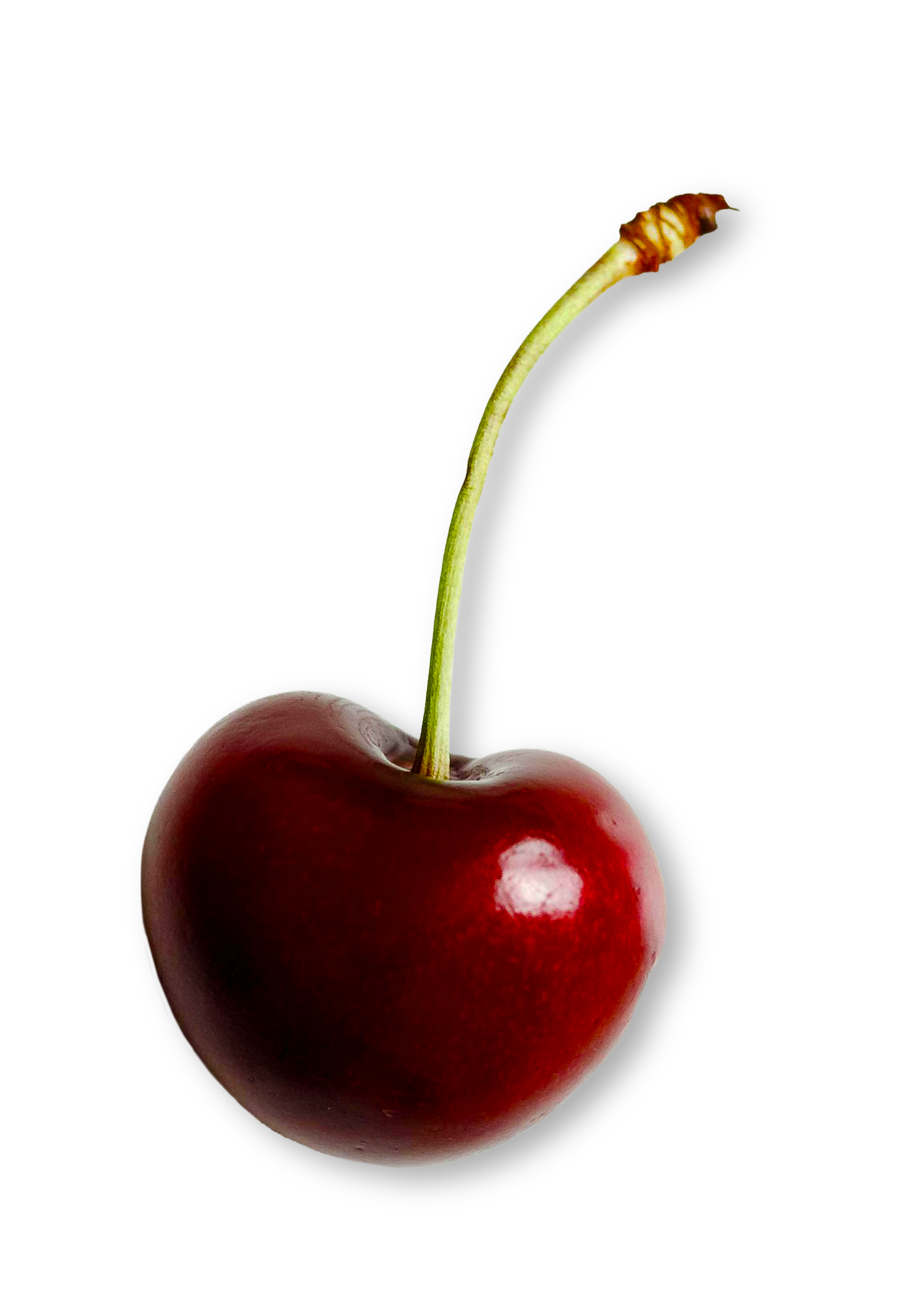 Cherry